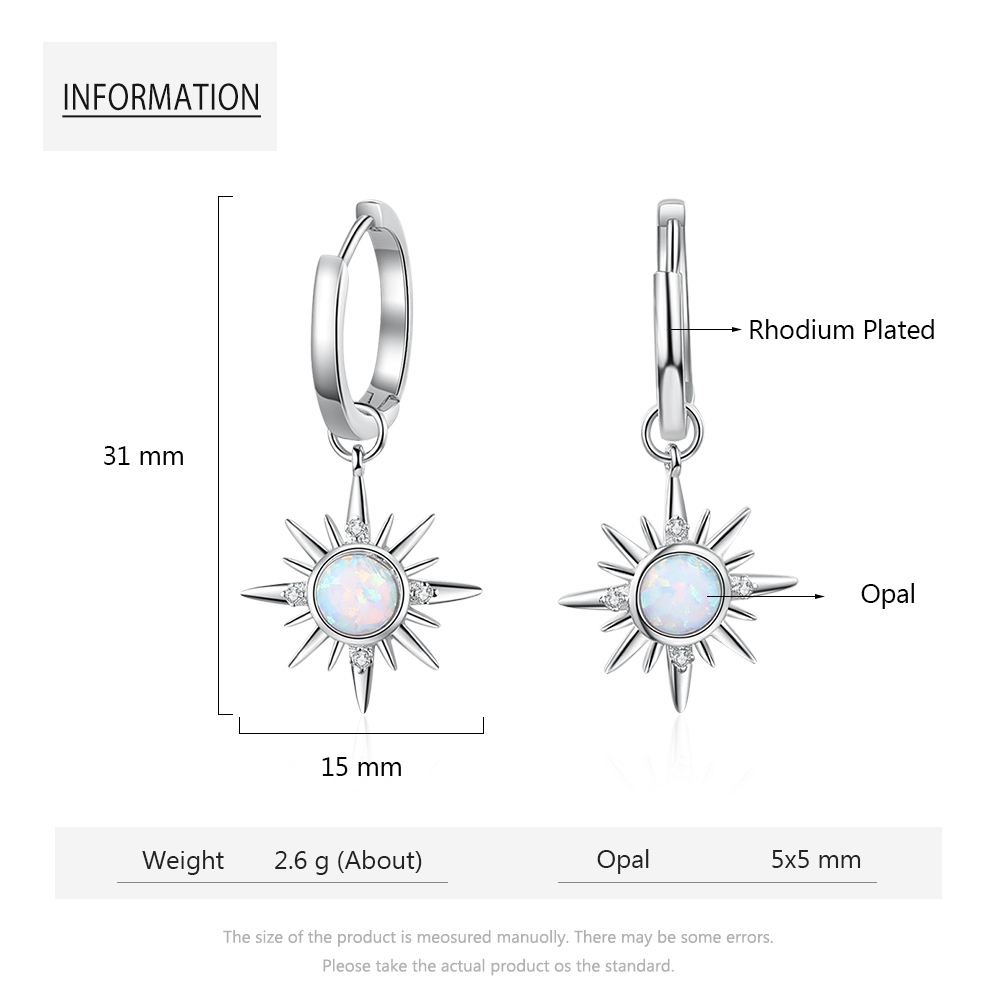 925 Sliver Pendant Earrings for Women