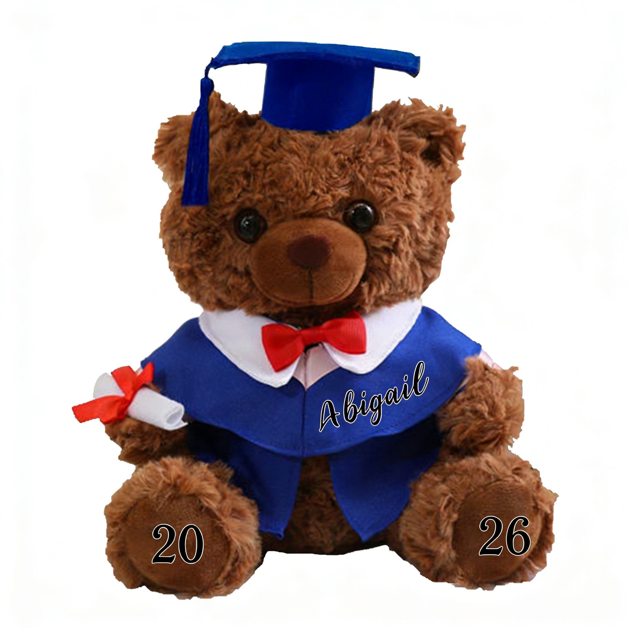 Graduation Teddy Bear Gift Style 2– Personalized Soft Plush Doll for 2026 Graduates