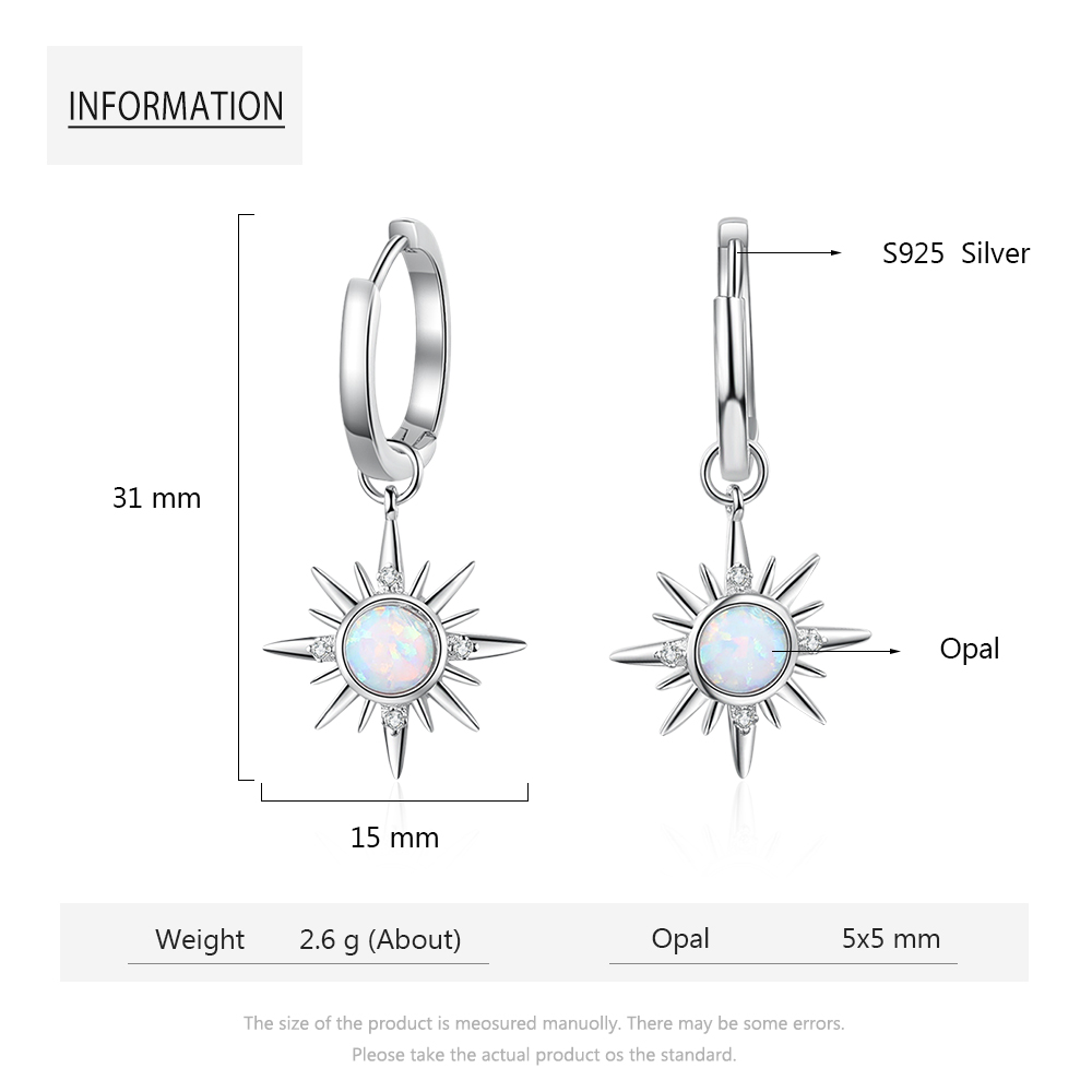 925 Sliver Pendant Earrings for Women